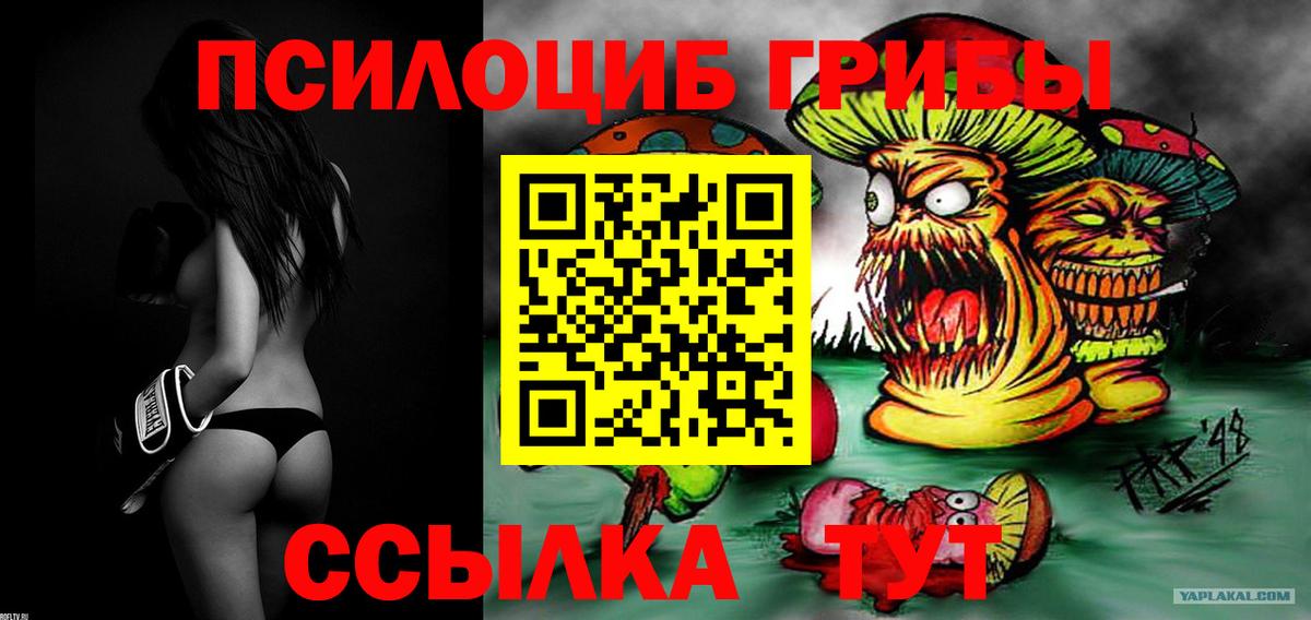 Псилоцибиновые грибы Psilocybine cubensis  Псилоцибиновые грибы ЛСД  где найти наркотики  Вход с VPN  Каменка 